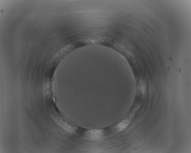 X0000073410526200608251528