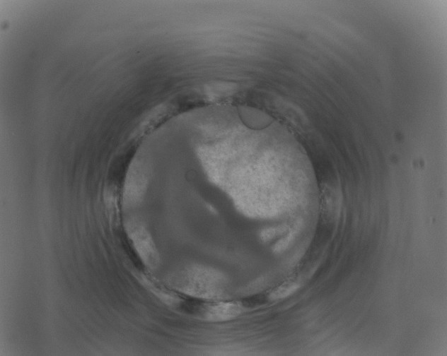 X0000073410527200608251528