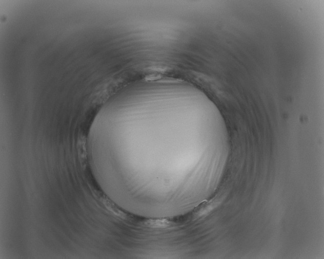 X0000073410528200608251528