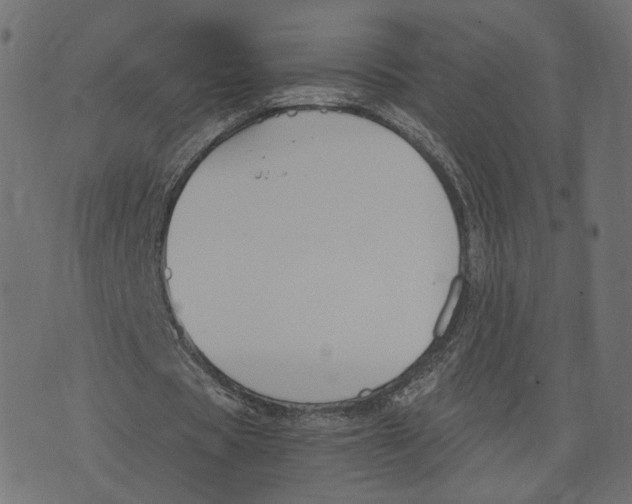 X0000073410529200608251527