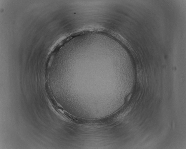 X0000073410530200608251527