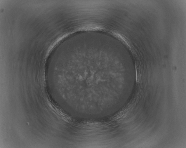 X0000073410531200608251527