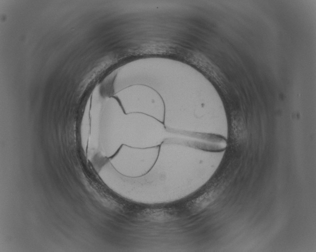 X0000073410534200608251527