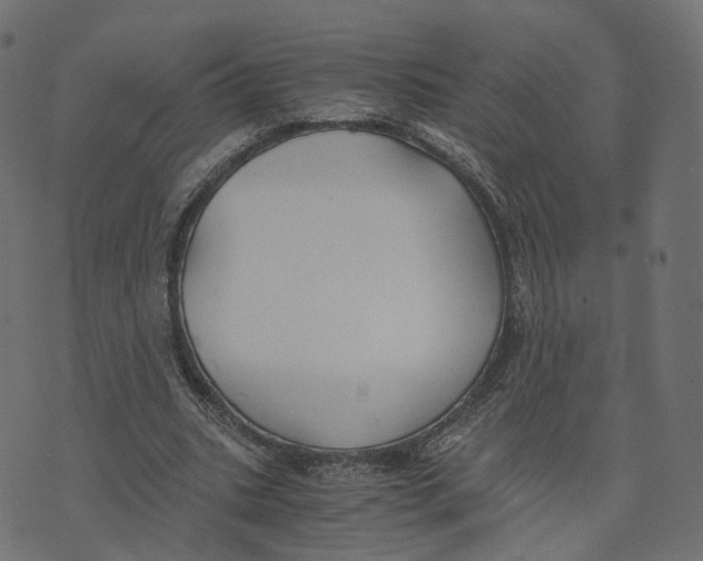 X0000073410535200608251527