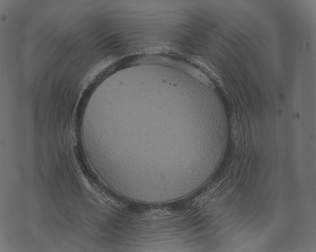 X0000073410536200608251527