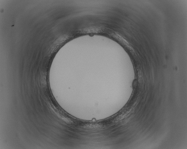 X0000073410537200608251527