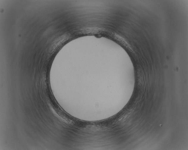 X0000073410538200608251527