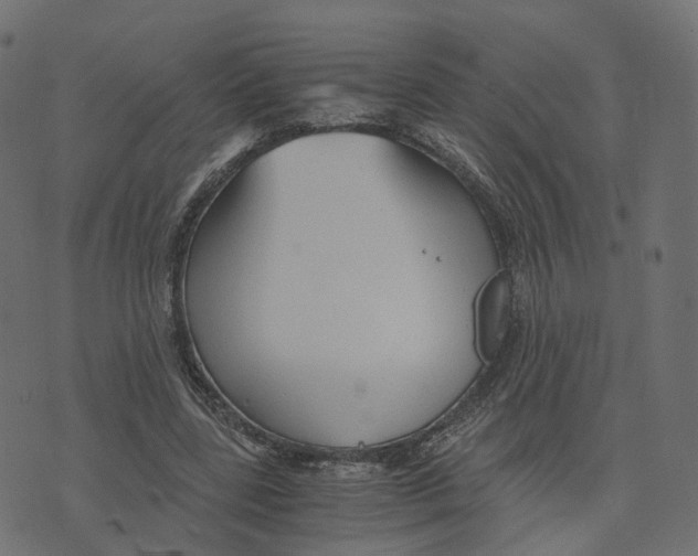 X0000073410539200608251527