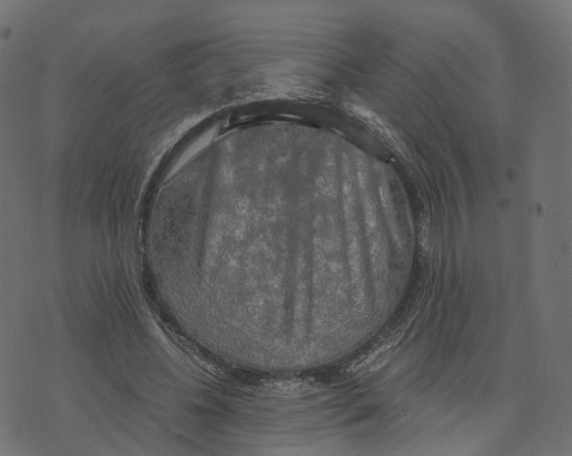 X0000073410540200608251527