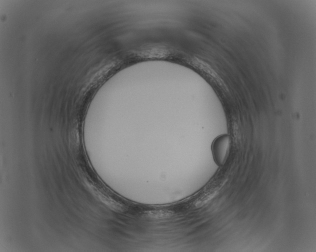 X0000073410541200608251527