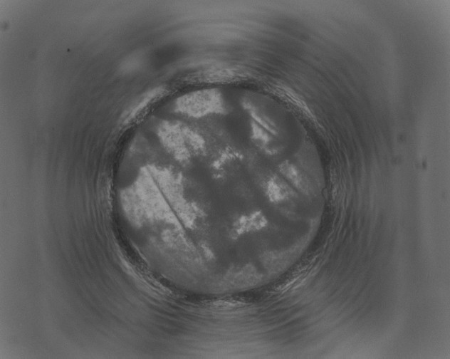 X0000073410542200608251527