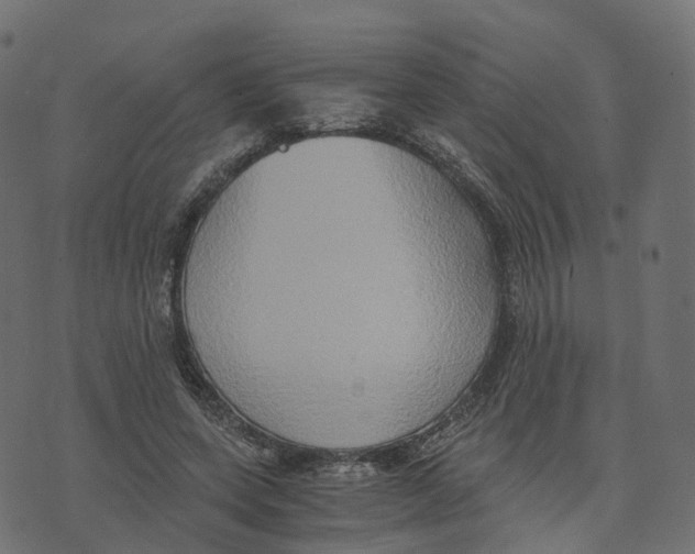 X0000073410543200608251527