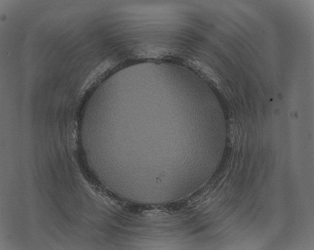 X0000073410544200608251527