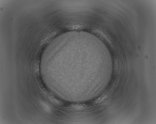 X0000073410545200608251527