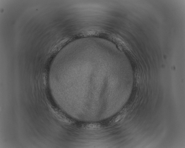 X0000073410546200608251527