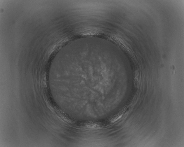 X0000073410547200608251527