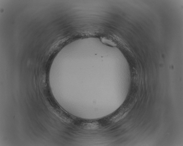 X0000073410548200608251527