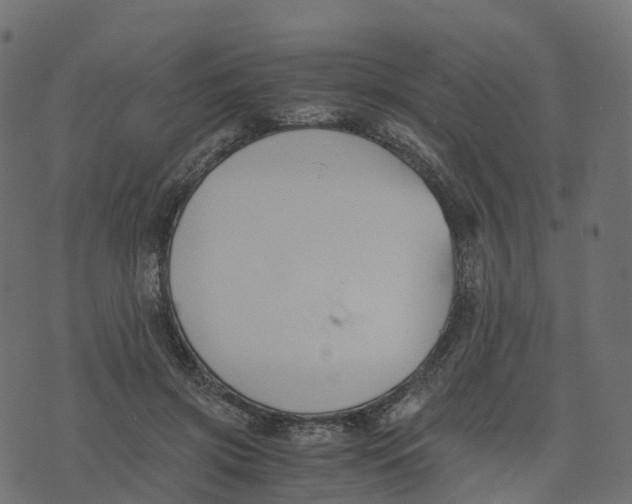 X0000073410549200608251527