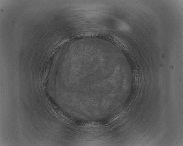 X0000073410550200608251527