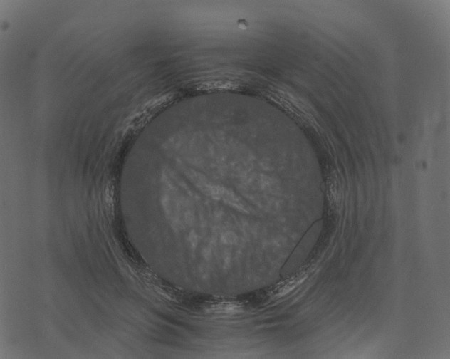 X0000073410551200608251527