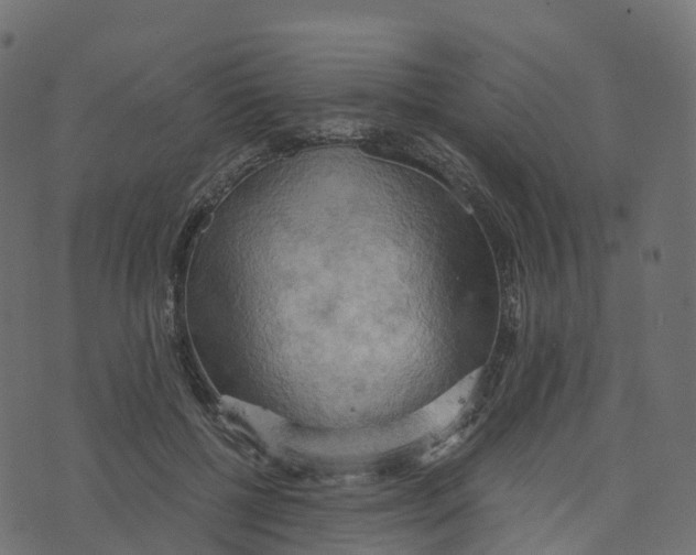 X0000073410552200608251527