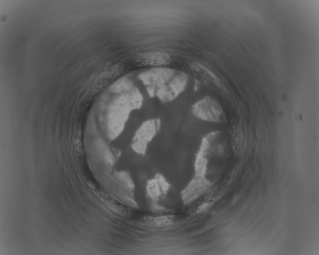 X0000073410553200608251527