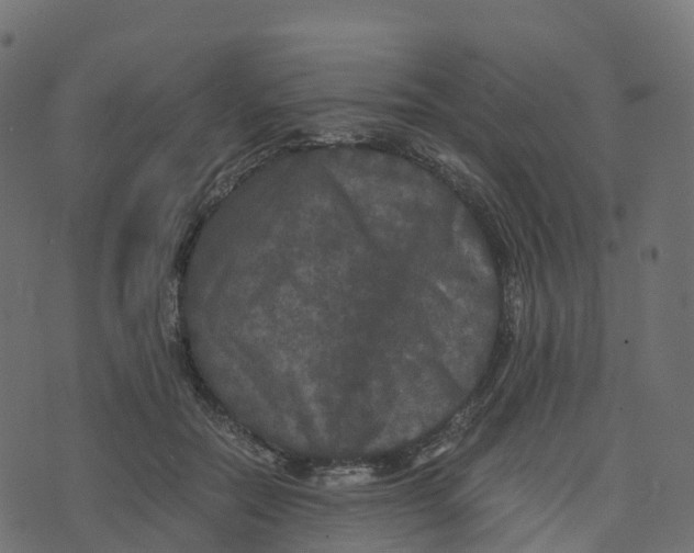 X0000073410554200608251527