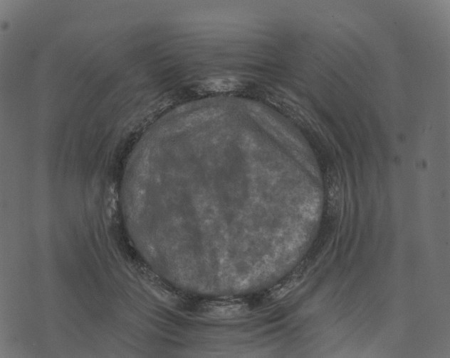 X0000073410555200608251527