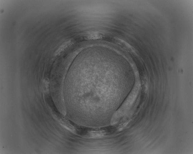 X0000073410556200608251527