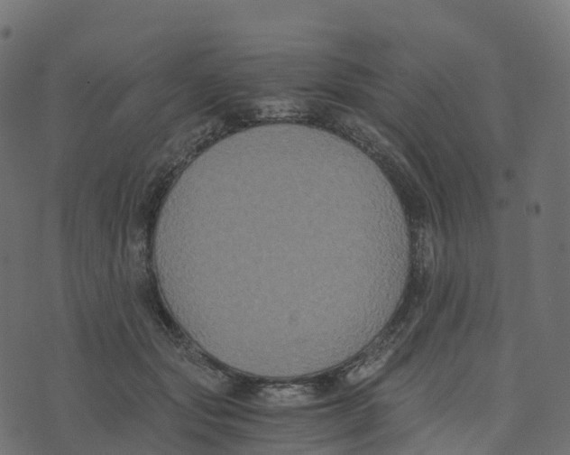 X0000073410557200608251527