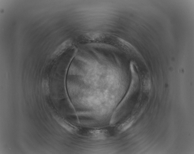 X0000073410558200608251528