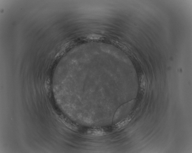 X0000073410559200608251528