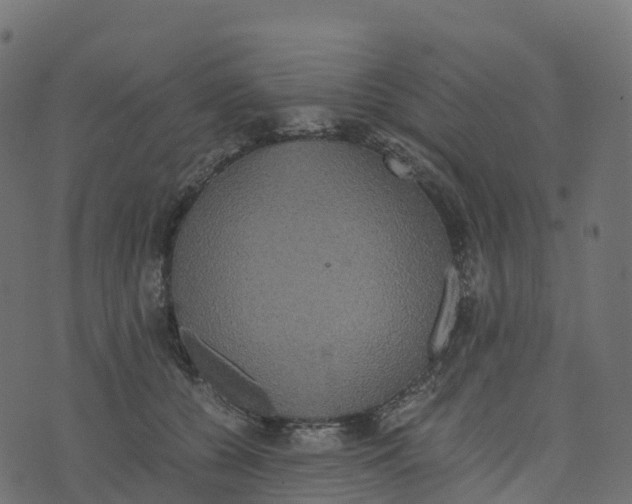 X0000073410560200608251528