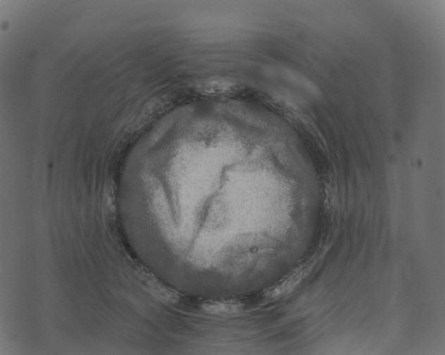 X0000073410561200608251528