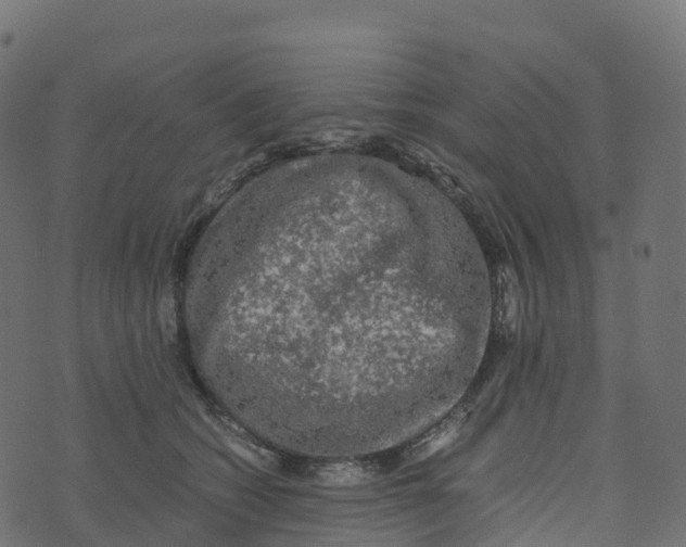 X0000073410562200608251528