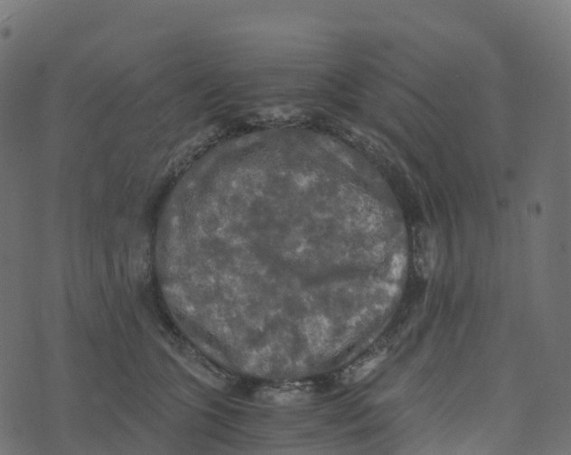 X0000073410563200608251528