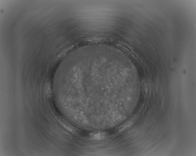 X0000073410564200608251528