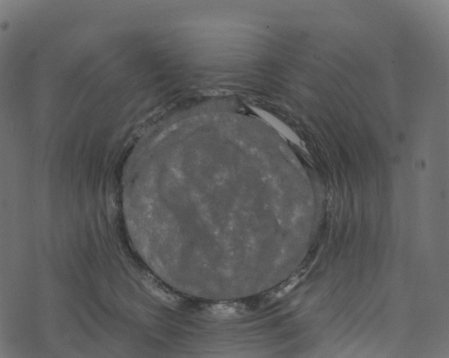 X0000073410566200608251528