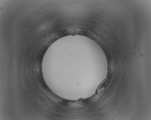 X0000073410567200608251528