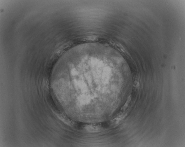 X0000073410568200608251528