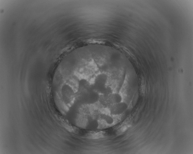 X0000073410569200608251528