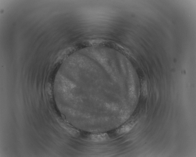 X0000073410571200608251528