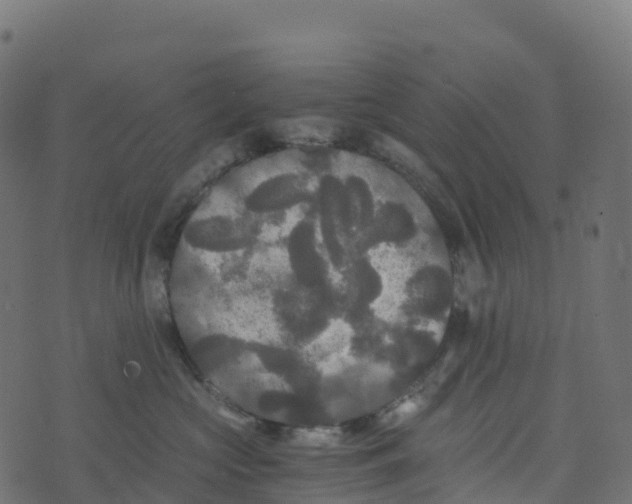 X0000073410573200608251528