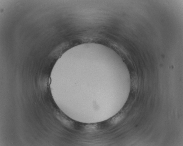 X0000073410574200608251528