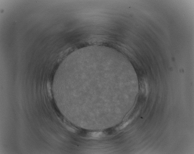 X0000073410575200608251528