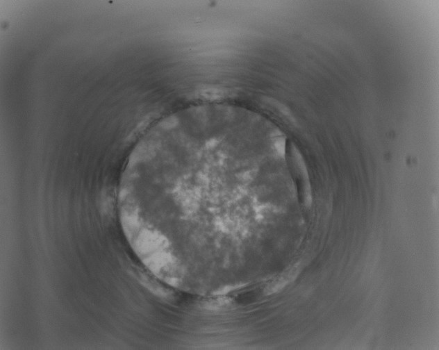 X0000073410576200608251528