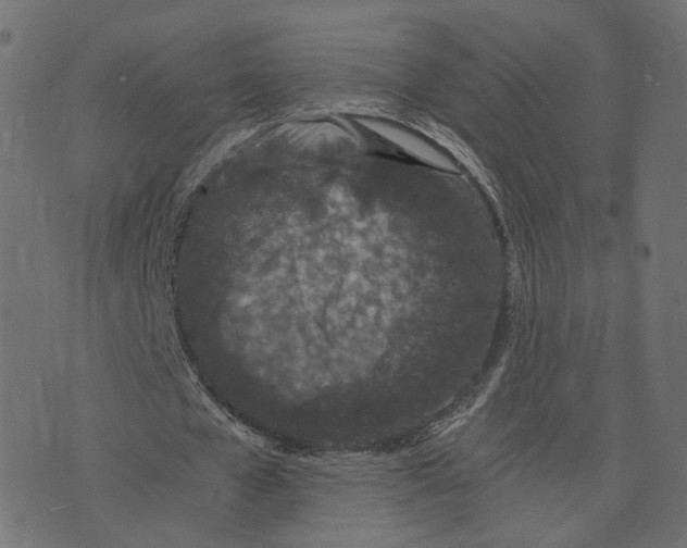 X0000073410577200608251527