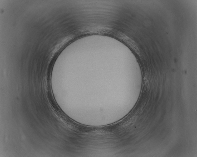 X0000073410578200608251527