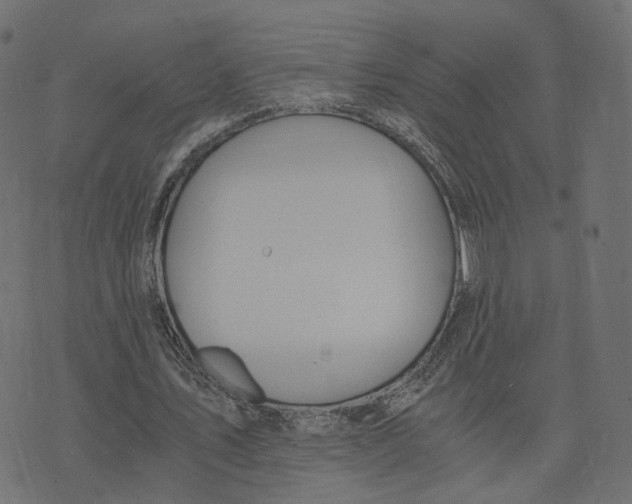 X0000073410579200608251527