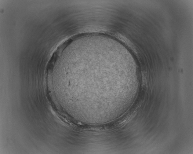 X0000073410580200608251527